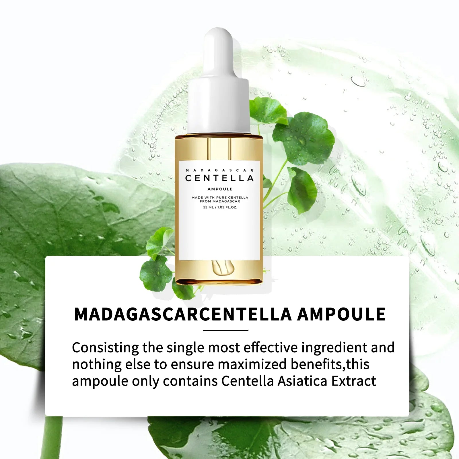 Centella Asiatica Serum – Beruhigung & Feuchtigkeit